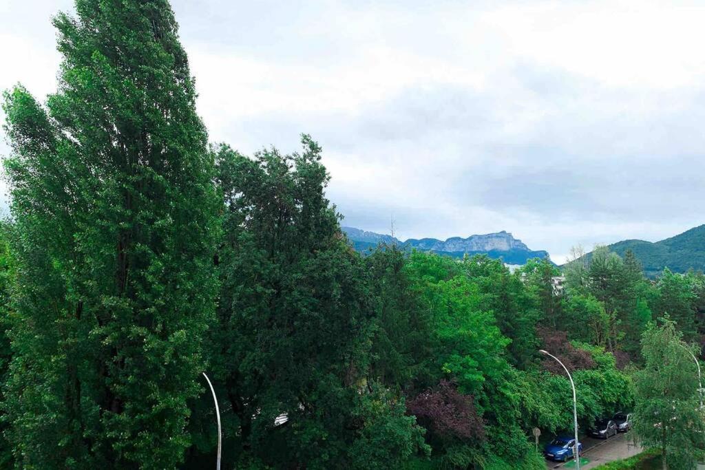 Charmant Appartement Avec Vue Sur Les Montagnes アヌシー エクステリア 写真